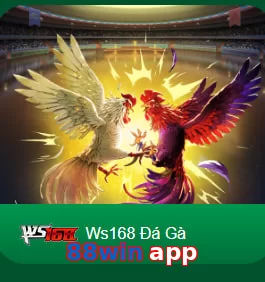 88win app